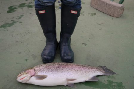 としまえんフィッシングエリア 釣果