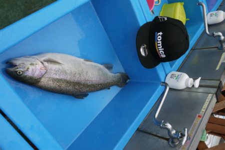 としまえんフィッシングエリア 釣果