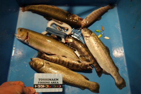 としまえんフィッシングエリア 釣果