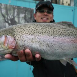 としまえんフィッシングエリア 釣果