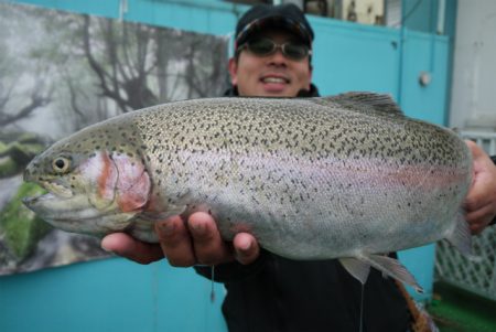 としまえんフィッシングエリア 釣果