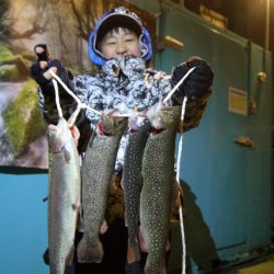 としまえんフィッシングエリア 釣果