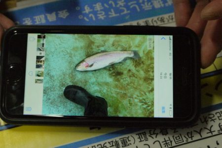 としまえんフィッシングエリア 釣果