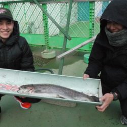 としまえんフィッシングエリア 釣果