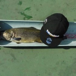 としまえんフィッシングエリア 釣果