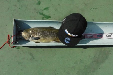 としまえんフィッシングエリア 釣果