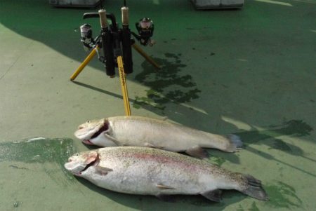 としまえんフィッシングエリア 釣果