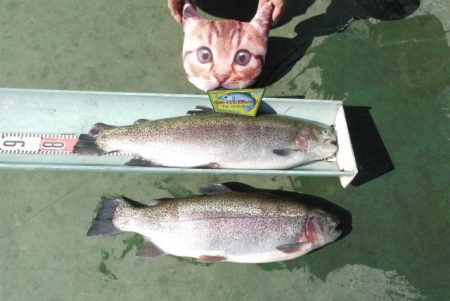 としまえんフィッシングエリア 釣果