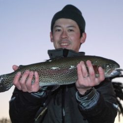 としまえんフィッシングエリア 釣果