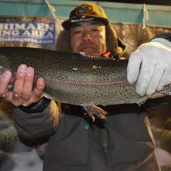 としまえんフィッシングエリア 釣果