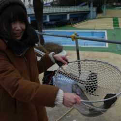 としまえんフィッシングエリア 釣果