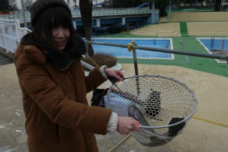 としまえんフィッシングエリア 釣果