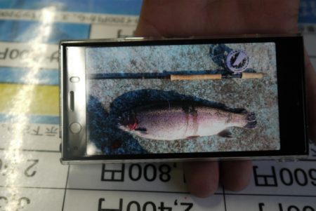 としまえんフィッシングエリア 釣果