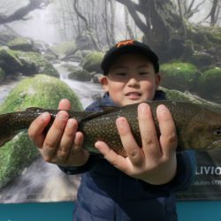 としまえんフィッシングエリア 釣果
