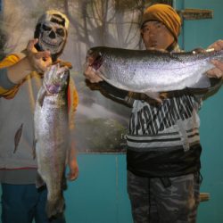 としまえんフィッシングエリア 釣果