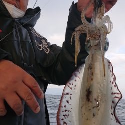シースナイパー海龍 釣果