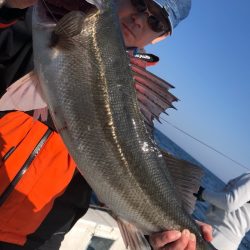 あみや渡船 JIGBOY 釣果