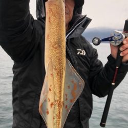 あみや渡船 JIGBOY 釣果