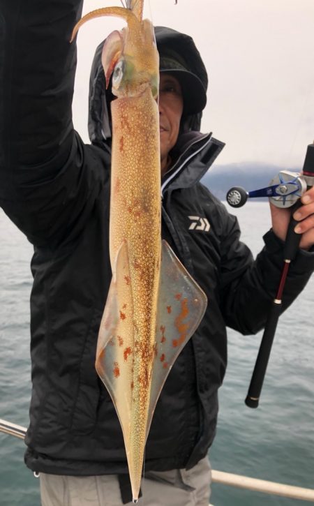 あみや渡船 JIGBOY 釣果