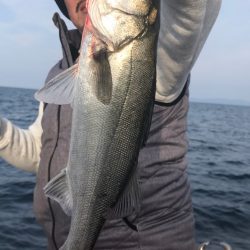 あみや渡船 JIGBOY 釣果