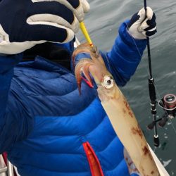 あみや渡船 JIGBOY 釣果