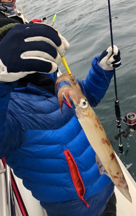 あみや渡船 JIGBOY 釣果