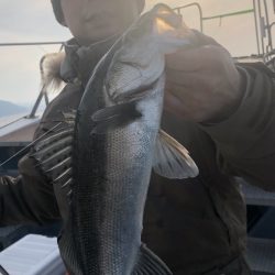 あみや渡船 JIGBOY 釣果