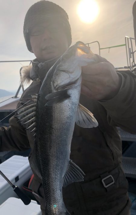 あみや渡船 JIGBOY 釣果