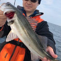 あみや渡船 JIGBOY 釣果