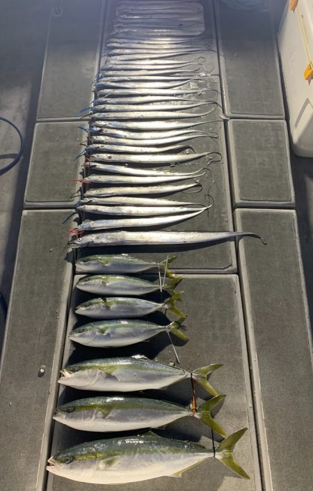 SeaRide(シーライド) 釣果