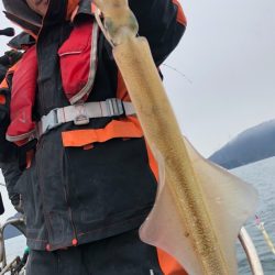 あみや渡船 JIGBOY 釣果