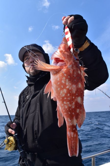 渡船屋たにぐち 釣果