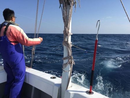 渡船屋たにぐち 釣果