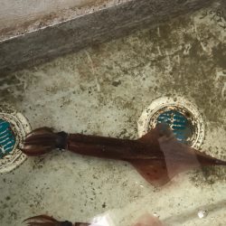 あみや渡船 JIGBOY 釣果