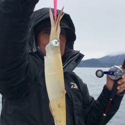 あみや渡船 JIGBOY 釣果