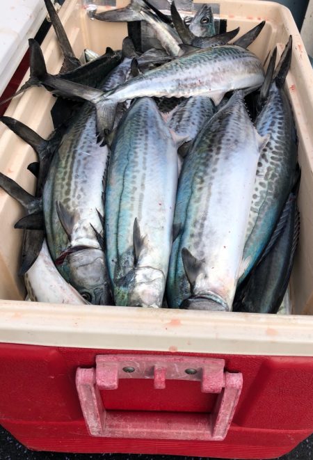 あみや渡船 JIGBOY 釣果