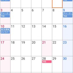 遊漁船 家入 釣果