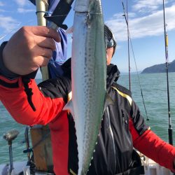 あみや渡船 JIGBOY 釣果