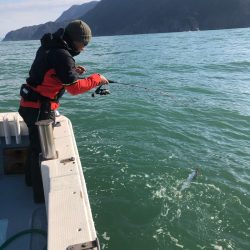 あみや渡船 JIGBOY 釣果