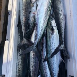 あみや渡船 JIGBOY 釣果