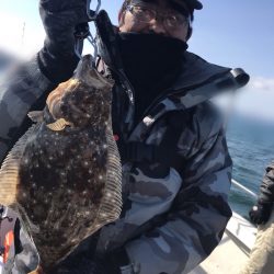 遊漁船メテオ 釣果