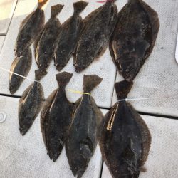 遊漁船メテオ 釣果