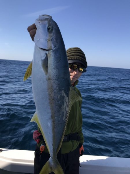 アマテラス 釣果