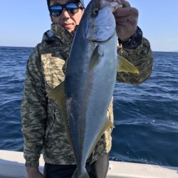 アマテラス 釣果