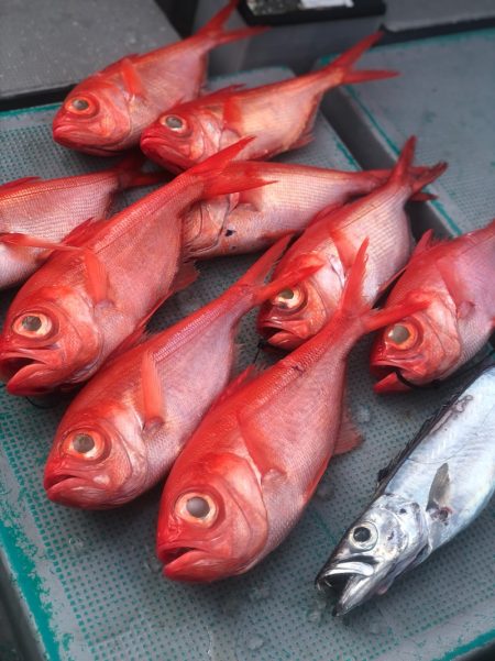 ＴＡＲＯＭＡＲＵ 釣果