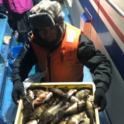 ヤザワ渡船 釣果