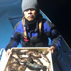 ヤザワ渡船 釣果