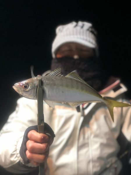 ＴＡＲＯＭＡＲＵ 釣果