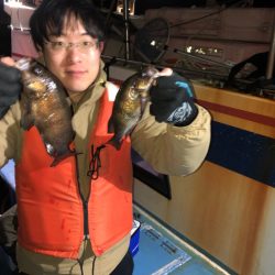 ヤザワ渡船 釣果