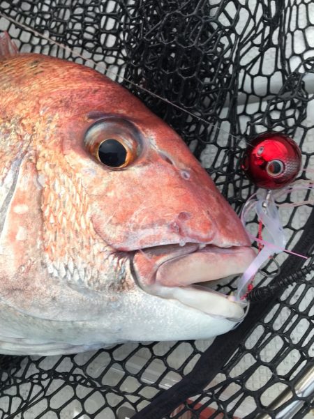 龍神丸(鹿児島) 釣果